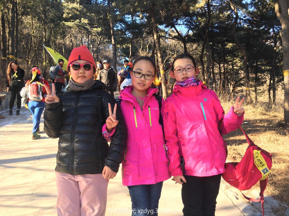 mmexport1550314595140