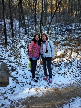 mmexport1550314337057