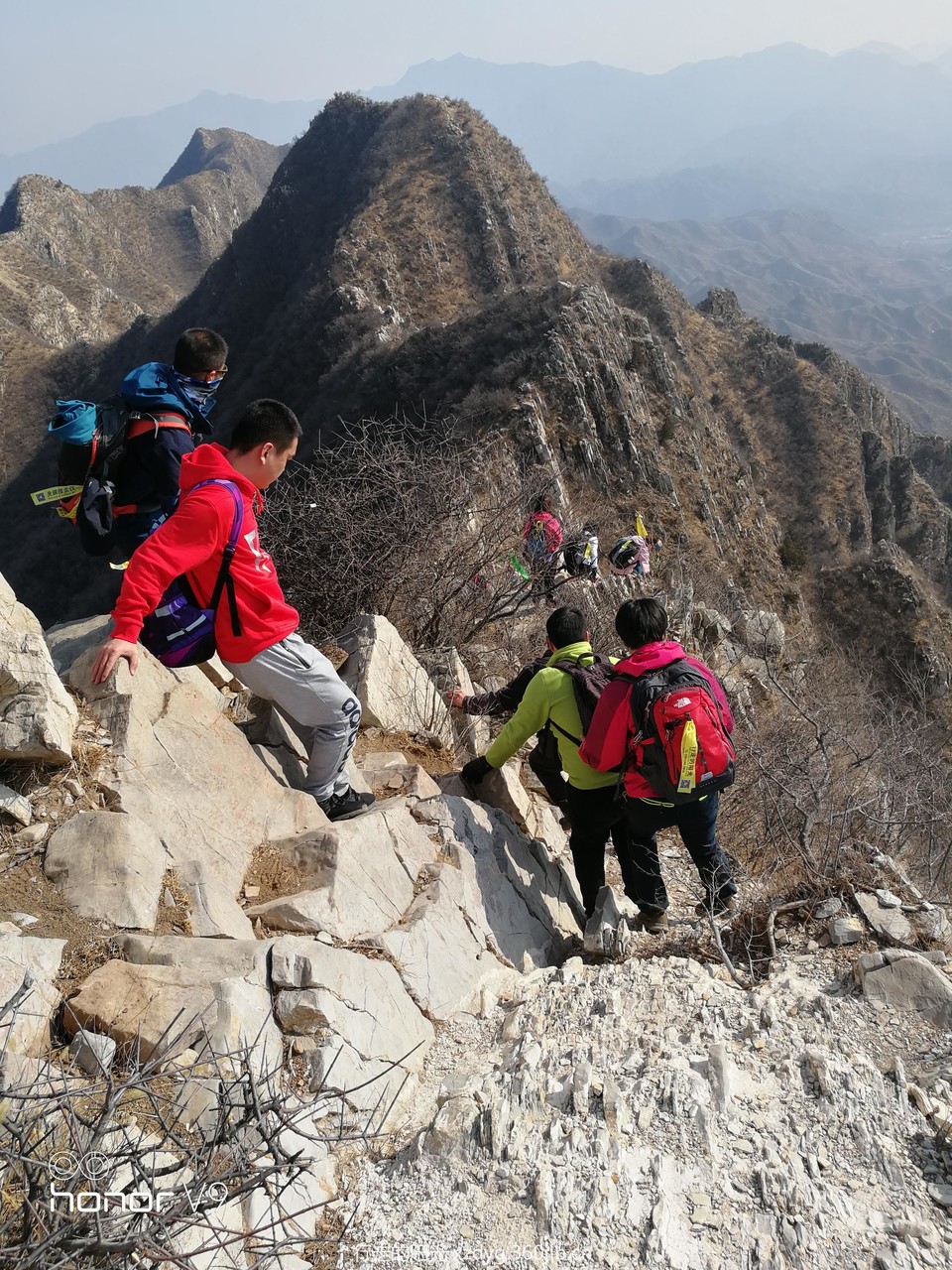 mmexport1550980410433