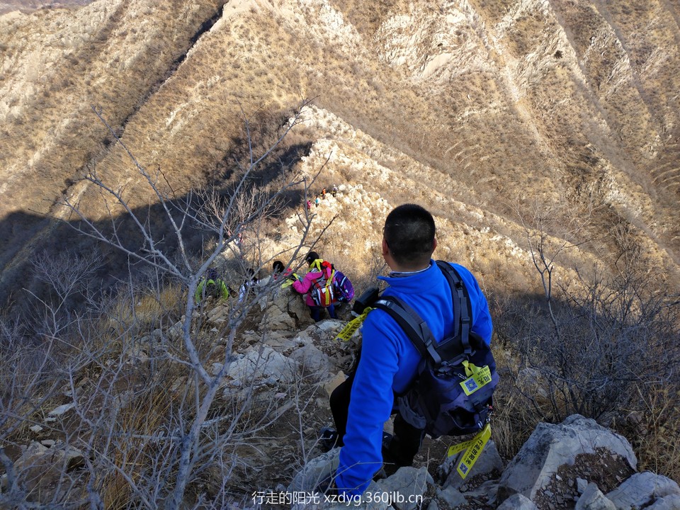 mmexport1550980896359