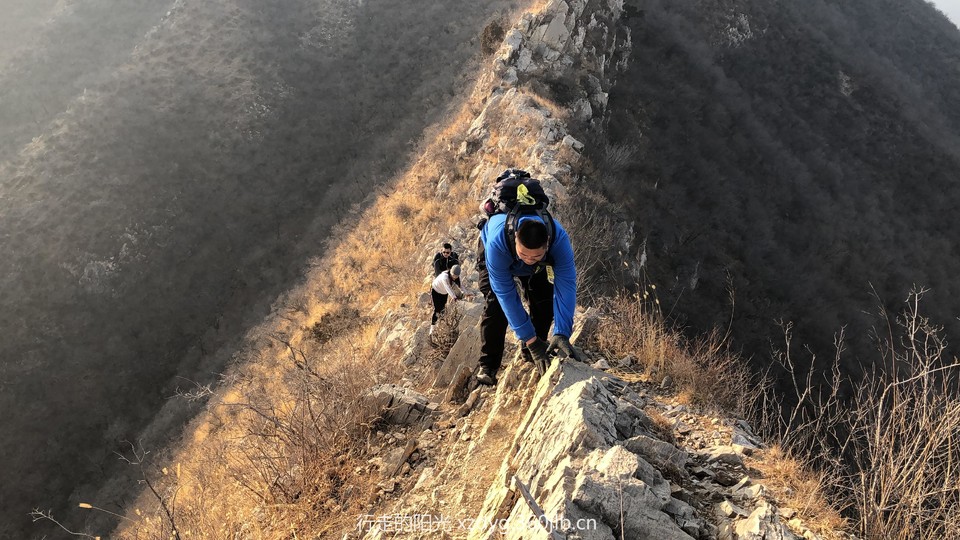 mmexport1550981117941