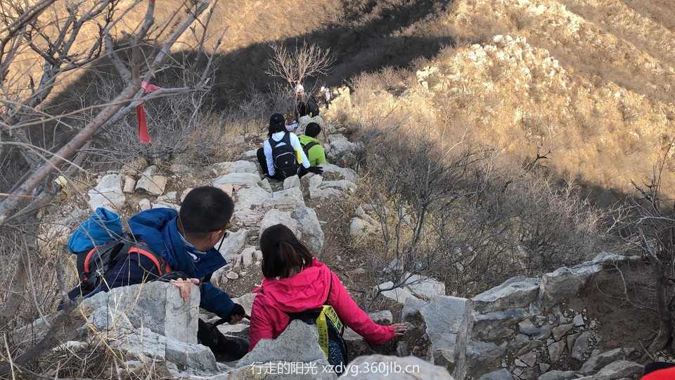 mmexport1550981579699