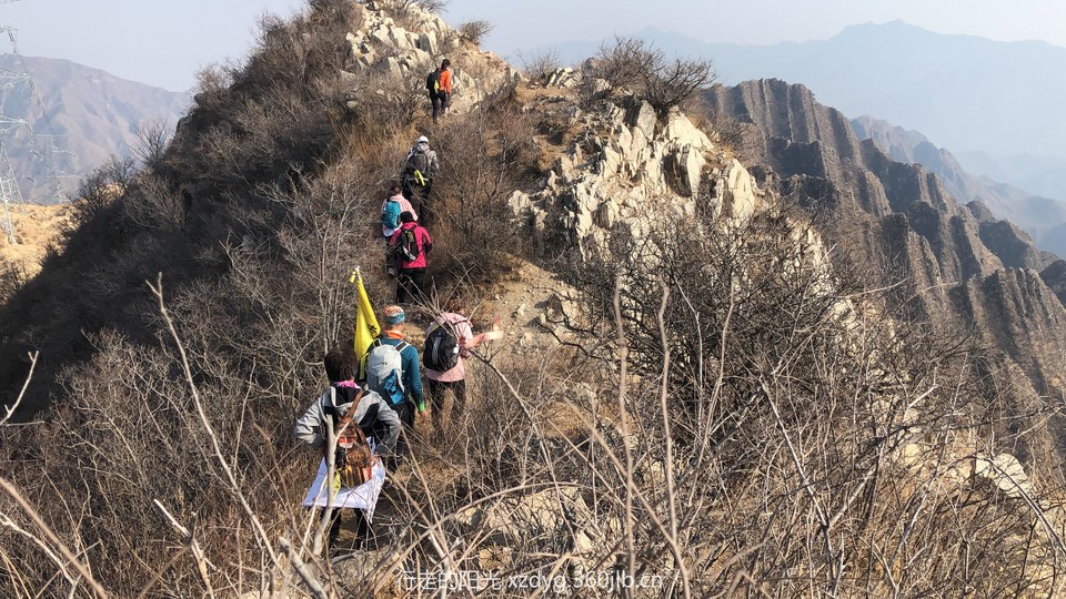 mmexport1550981707632