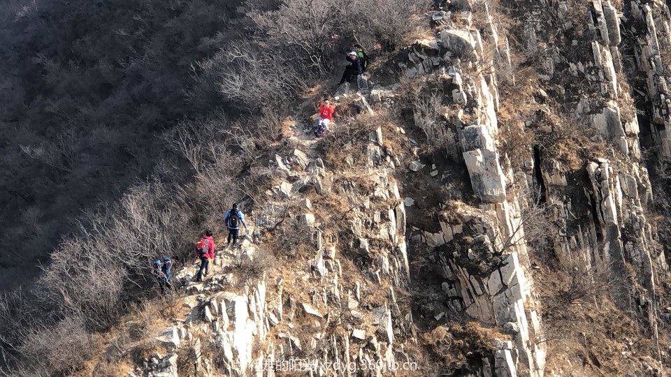 mmexport1550981753562