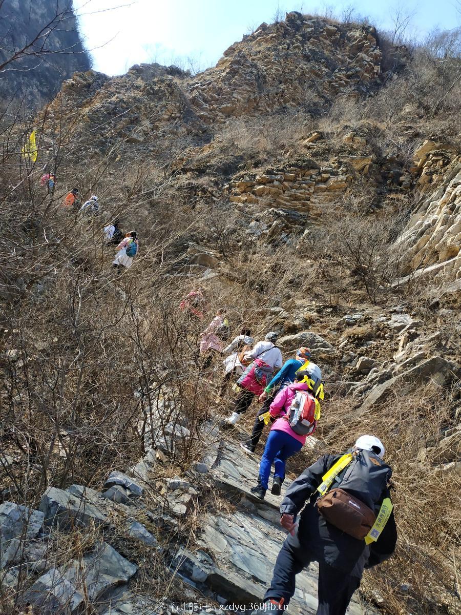 mmexport1550980498546