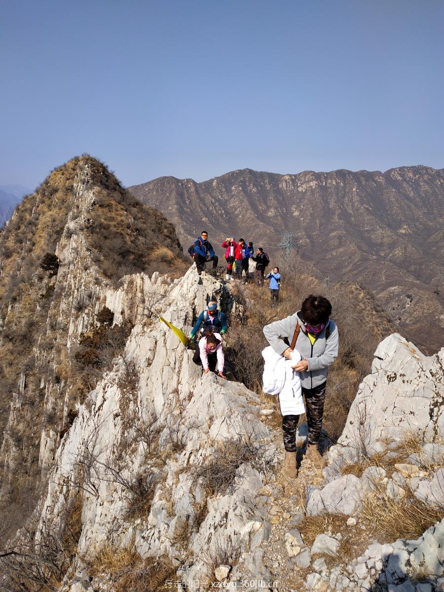 mmexport1550980691612