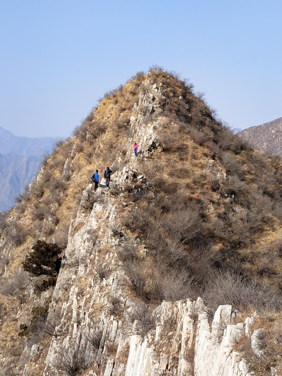 mmexport1550980667733