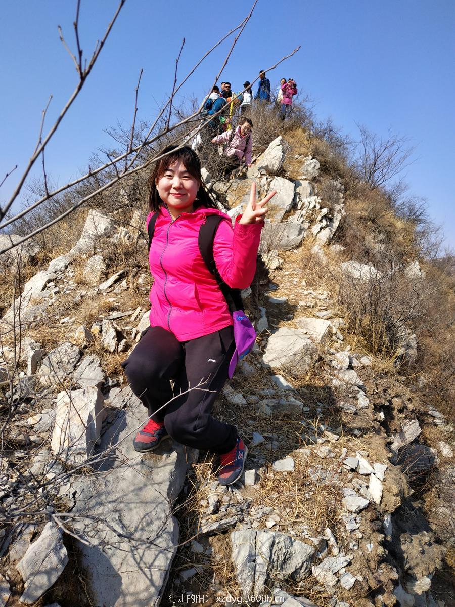 mmexport1550980536792