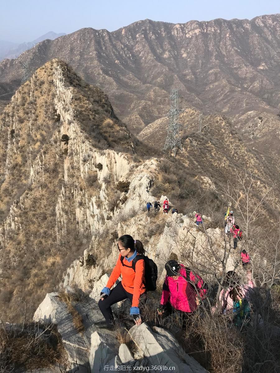 mmexport1550979469640