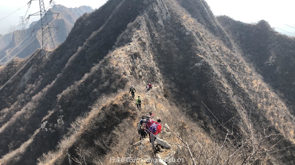 mmexport1550983037837