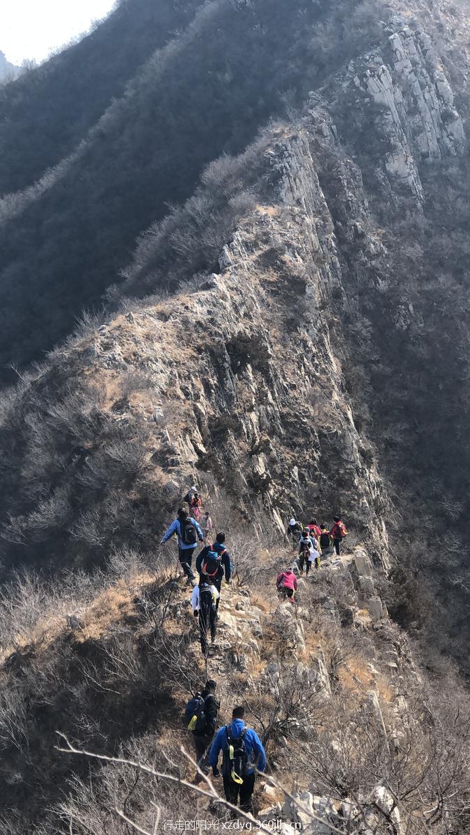 mmexport1550983073498