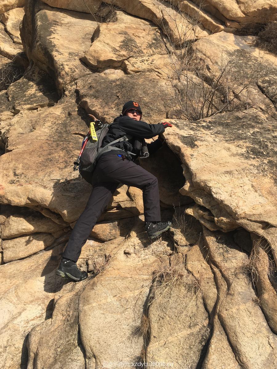 mmexport1548564670273