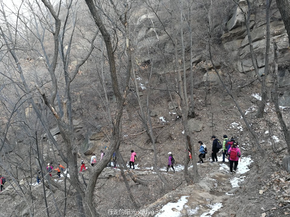 mmexport1551613409480