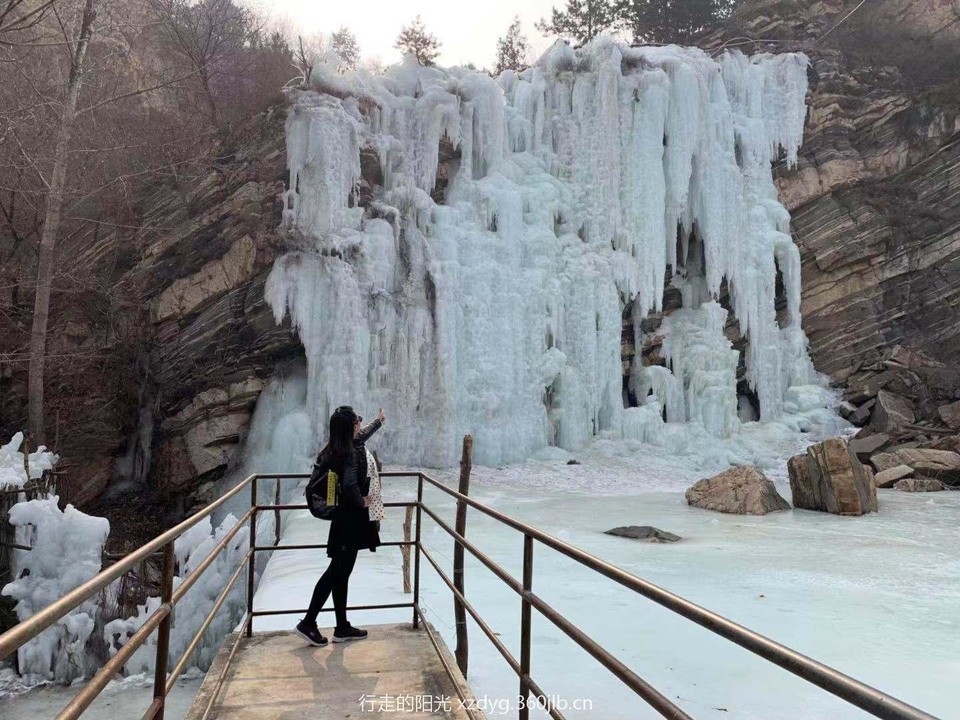 mmexport1551613419375