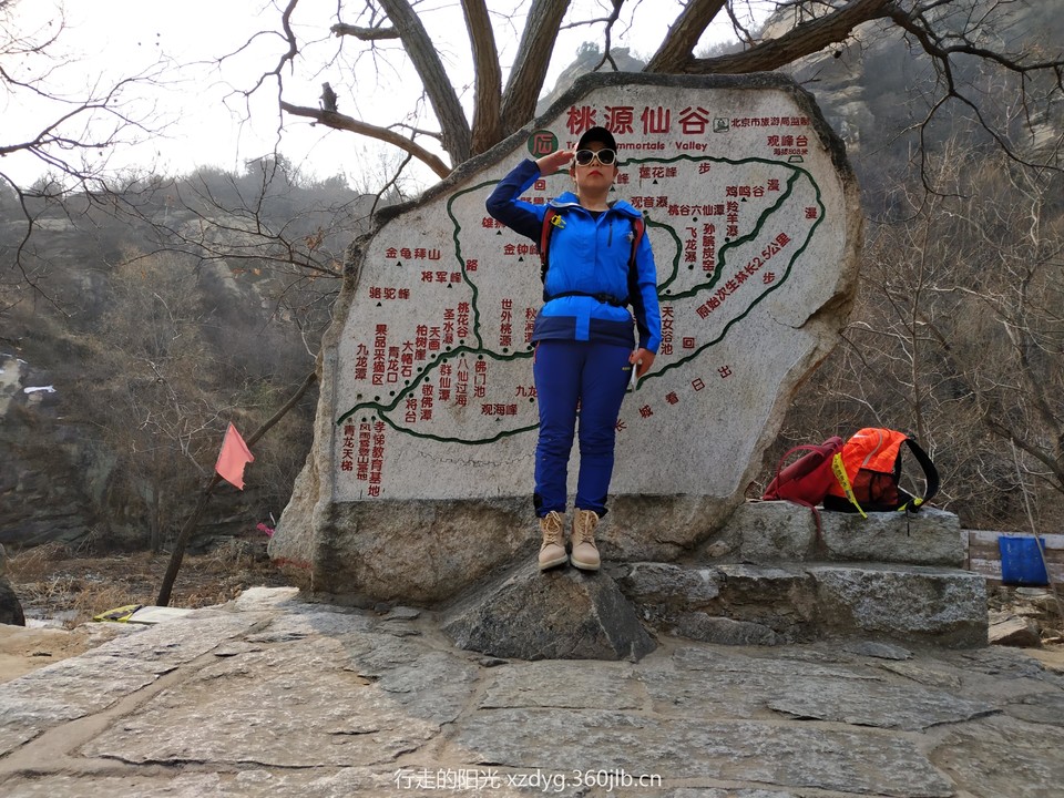 mmexport1551613498586