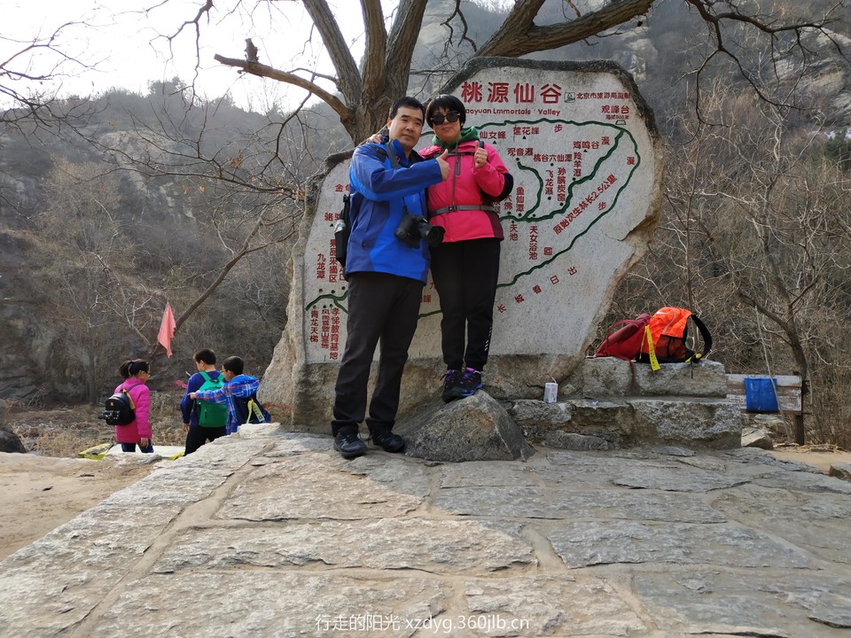 mmexport1551613518858