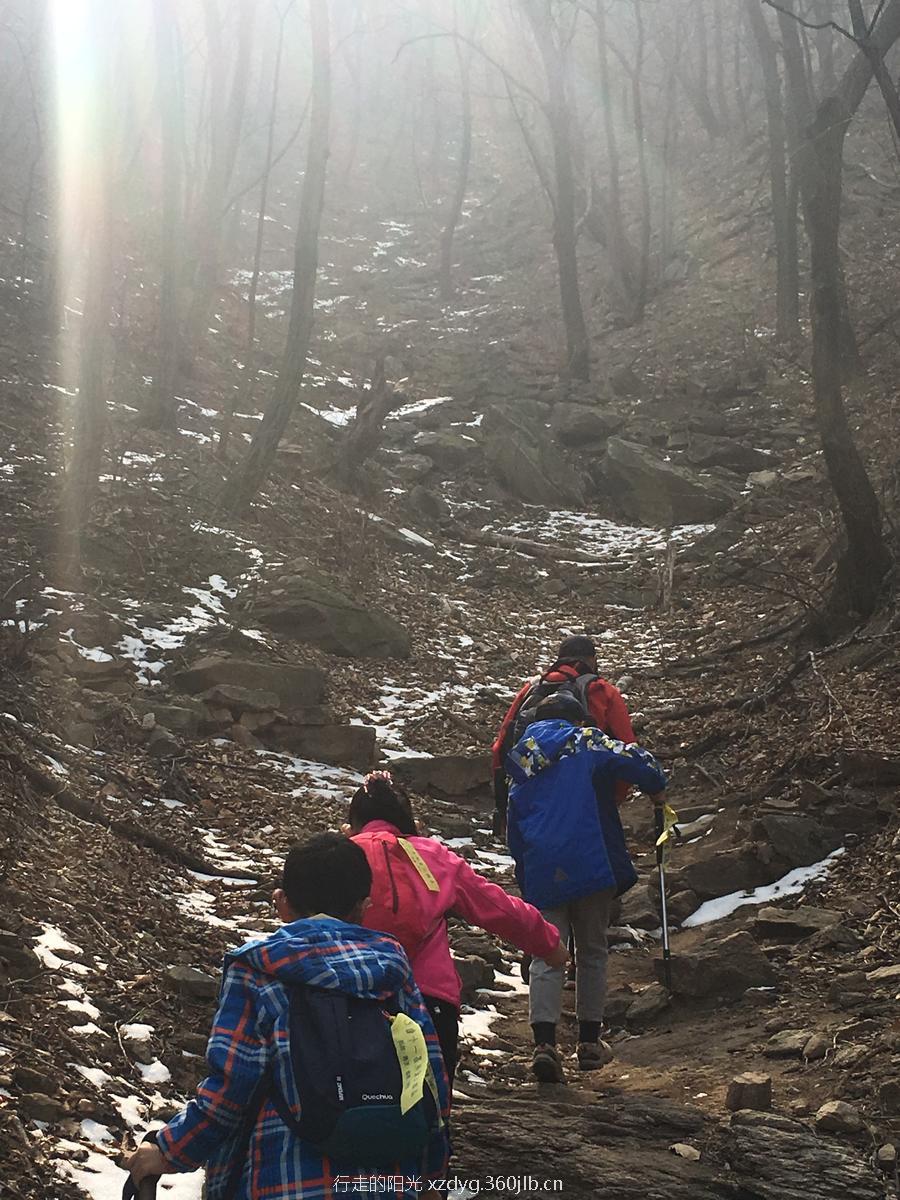 mmexport1551612577639