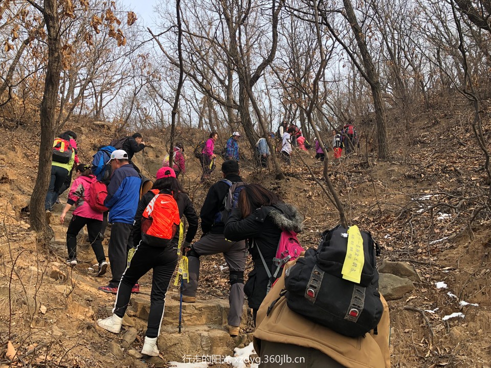 mmexport1551614979479