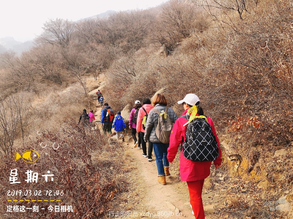 mmexport1551615254283