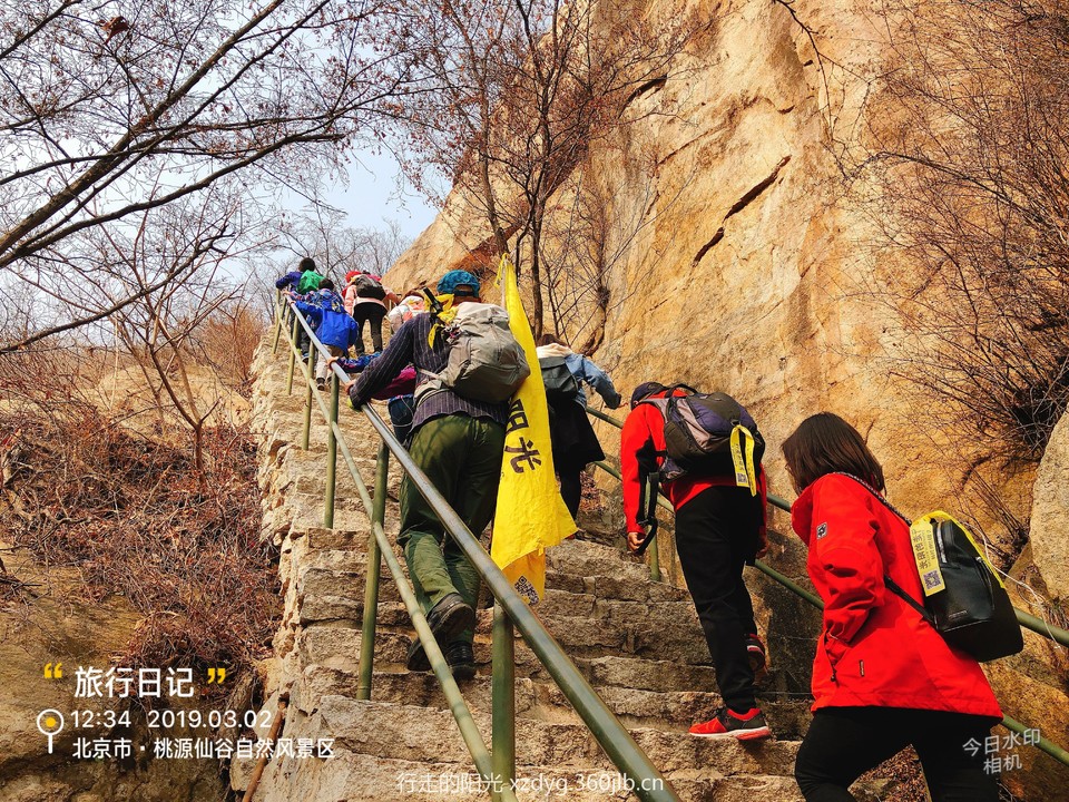 mmexport1551615325345