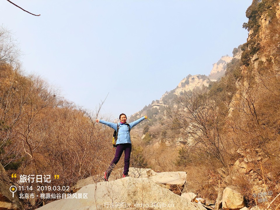 mmexport1551615497660