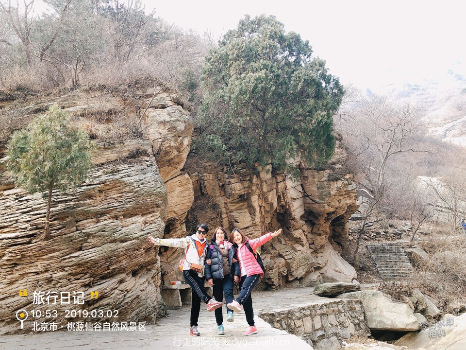 mmexport1551615534332