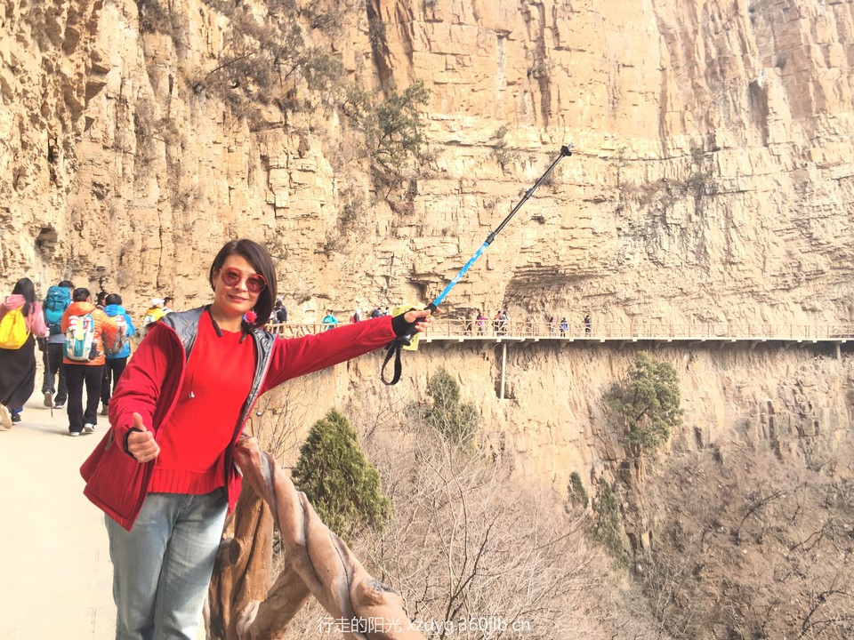 mmexport1552197709362