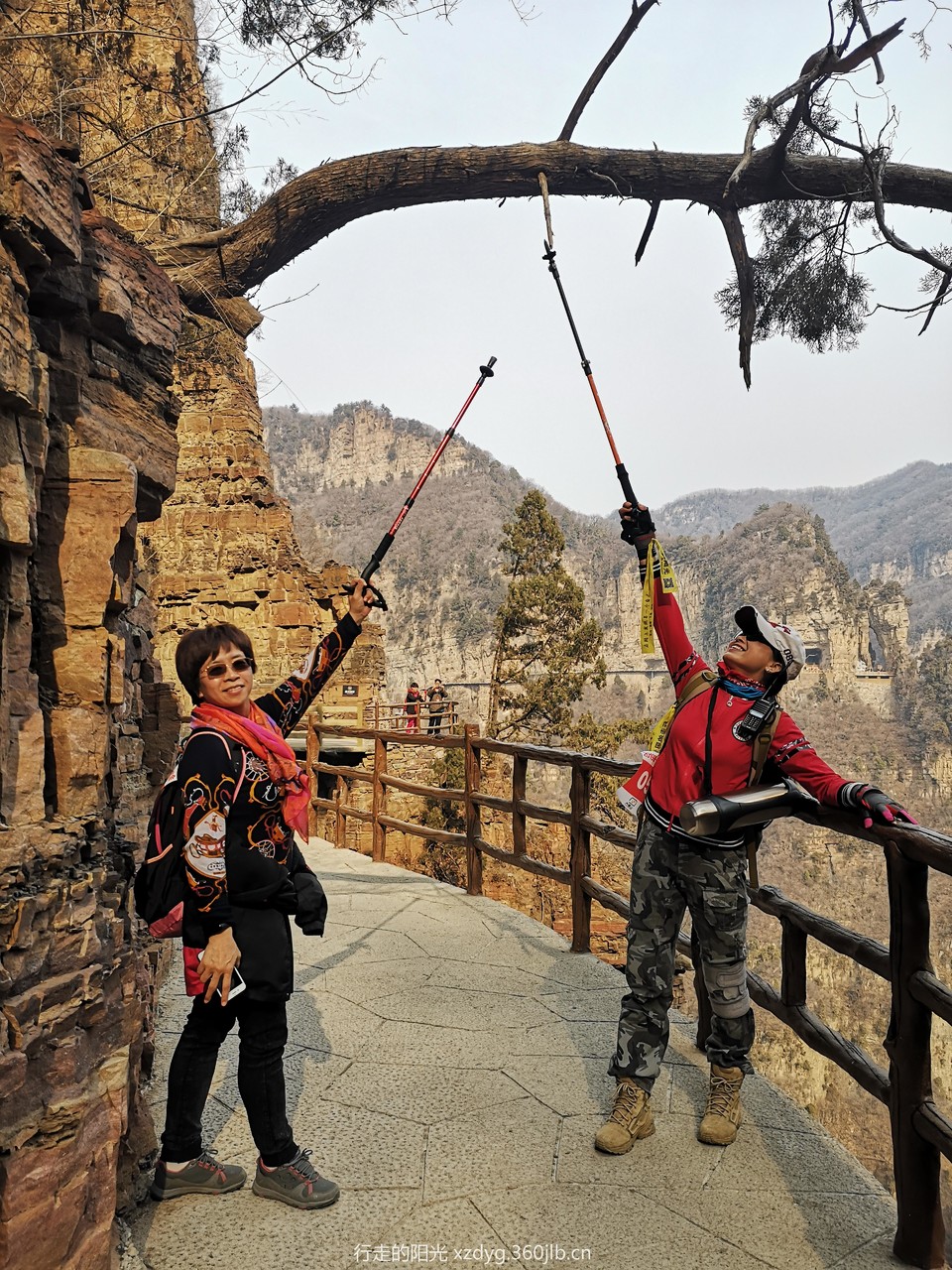 mmexport1552198531757