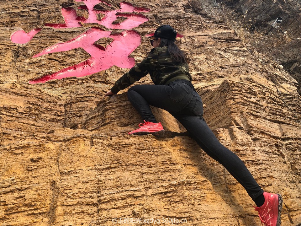 mmexport1552199801513