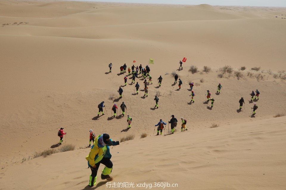 mmexport1553575844078