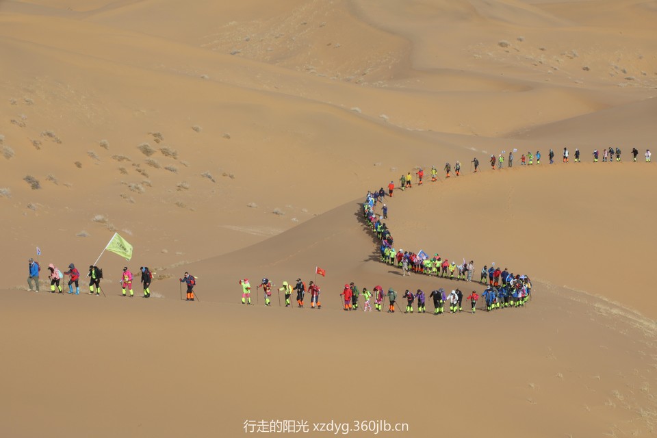 mmexport1553576431090