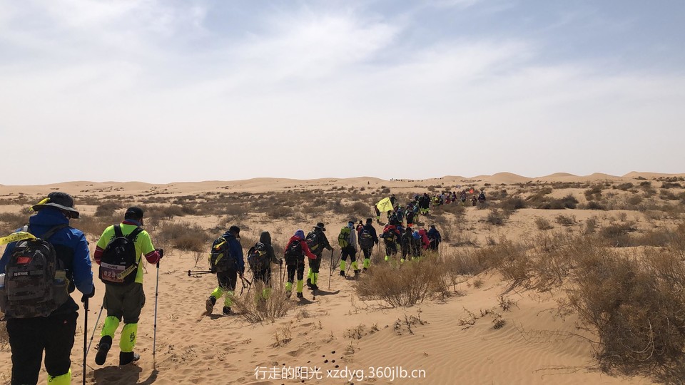 mmexport1553579078040