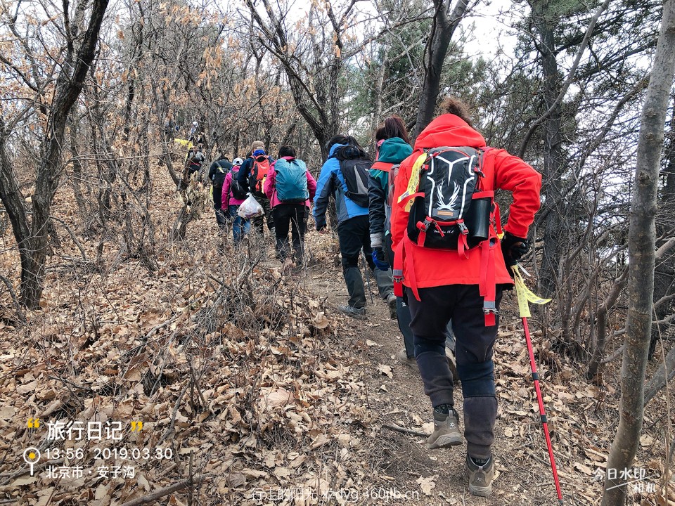 mmexport1554029094389