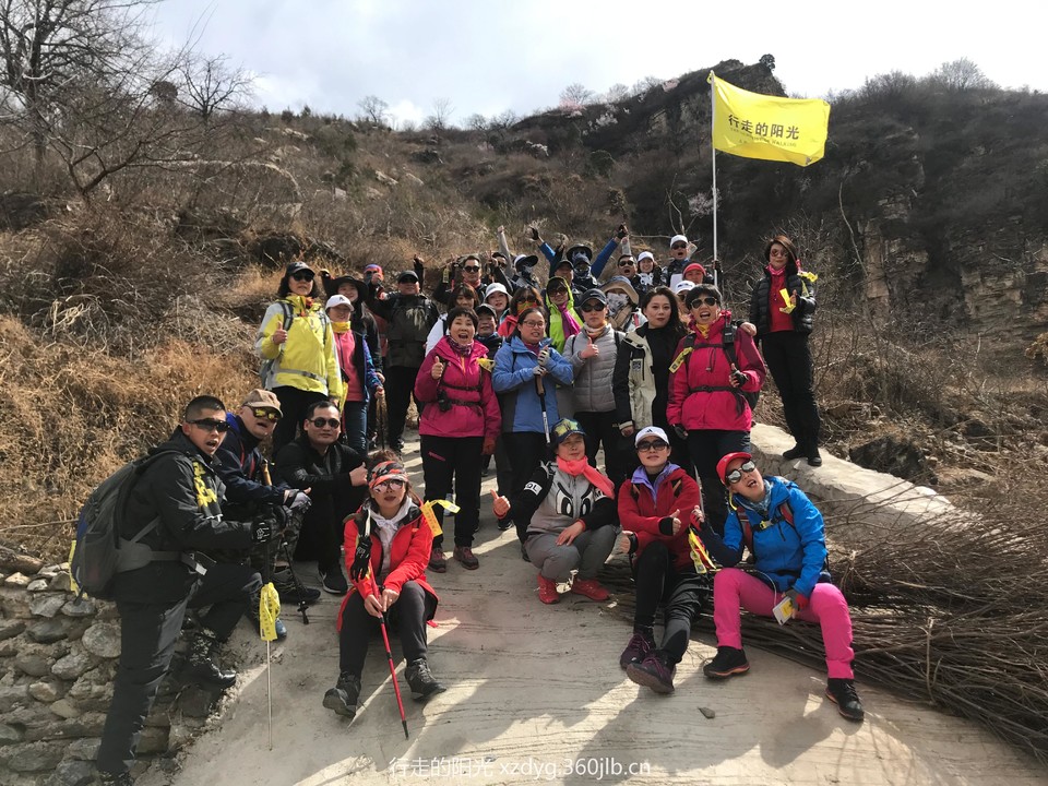 mmexport1554041006910