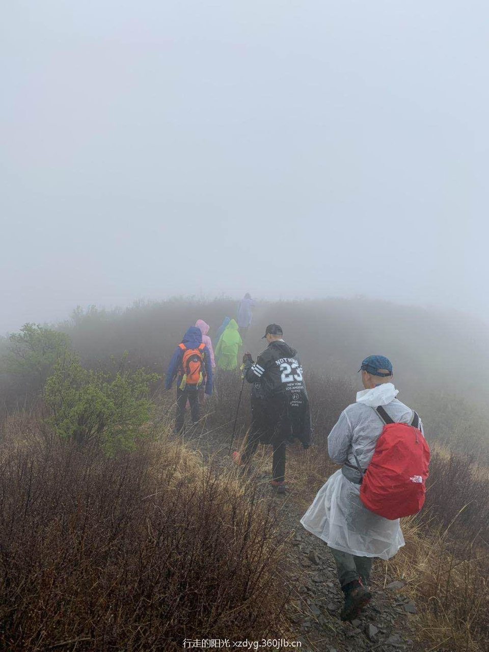 mmexport1556415847022