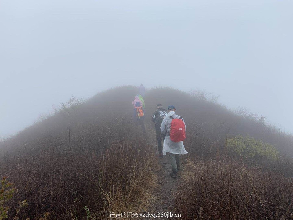 mmexport1556415862802