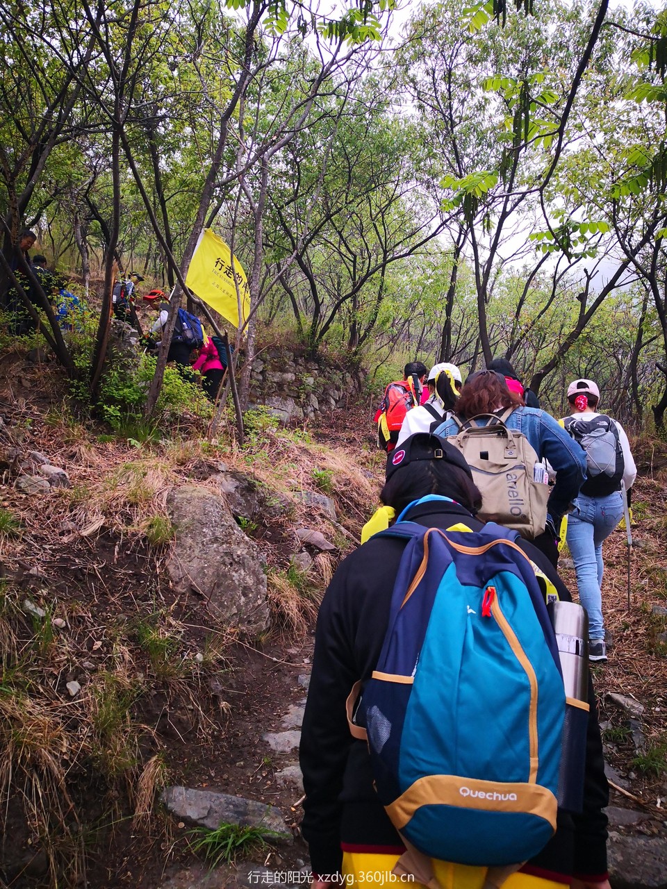 mmexport1556416023195