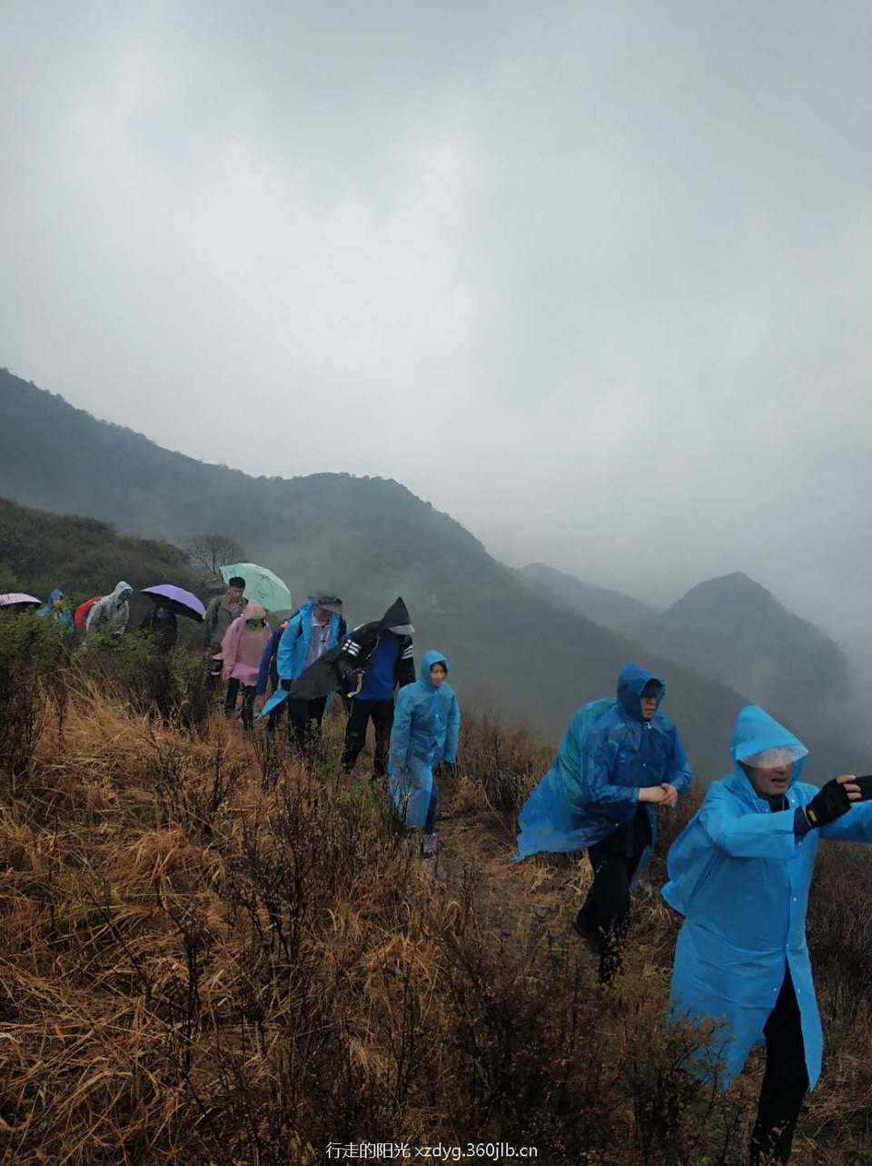 mmexport1556416194523