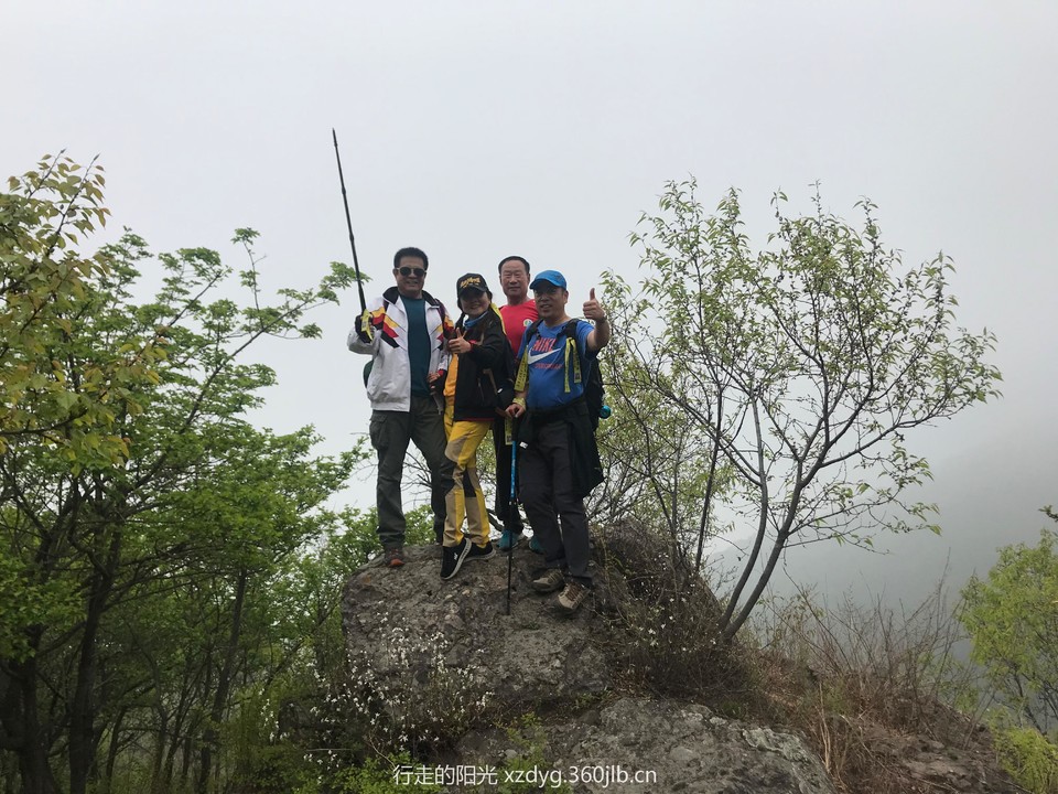 mmexport1556416422090