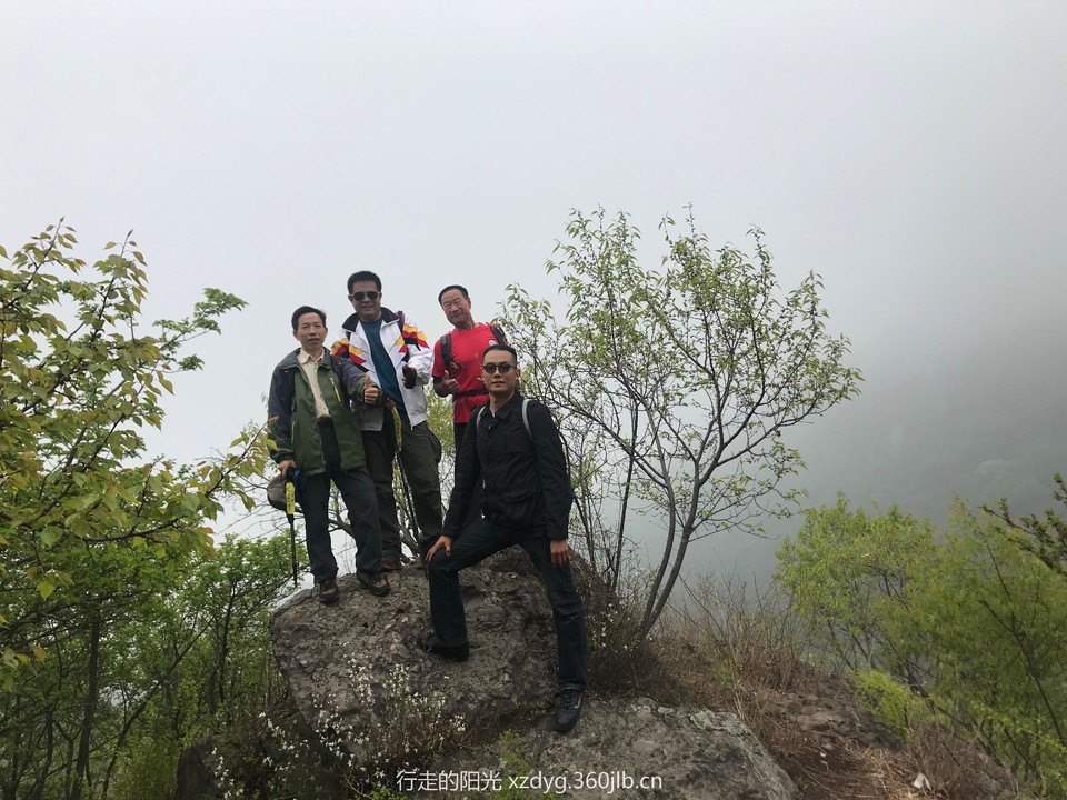 mmexport1556416451603