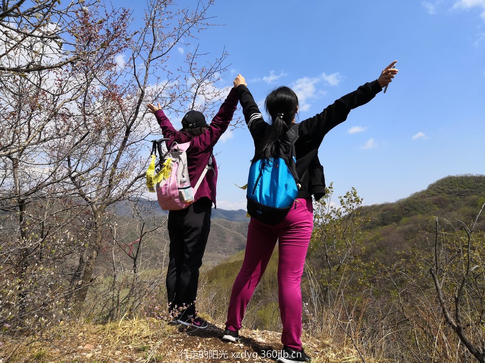 mmexport1556280596170