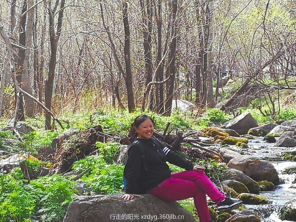 mmexport1556280612644