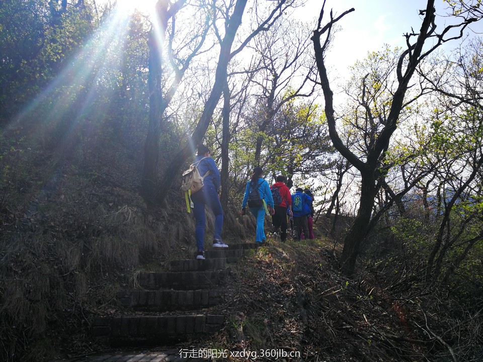 mmexport1556280627448