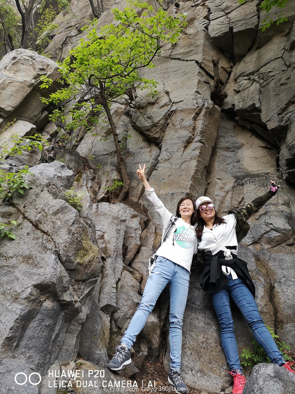 mmexport1556416943668