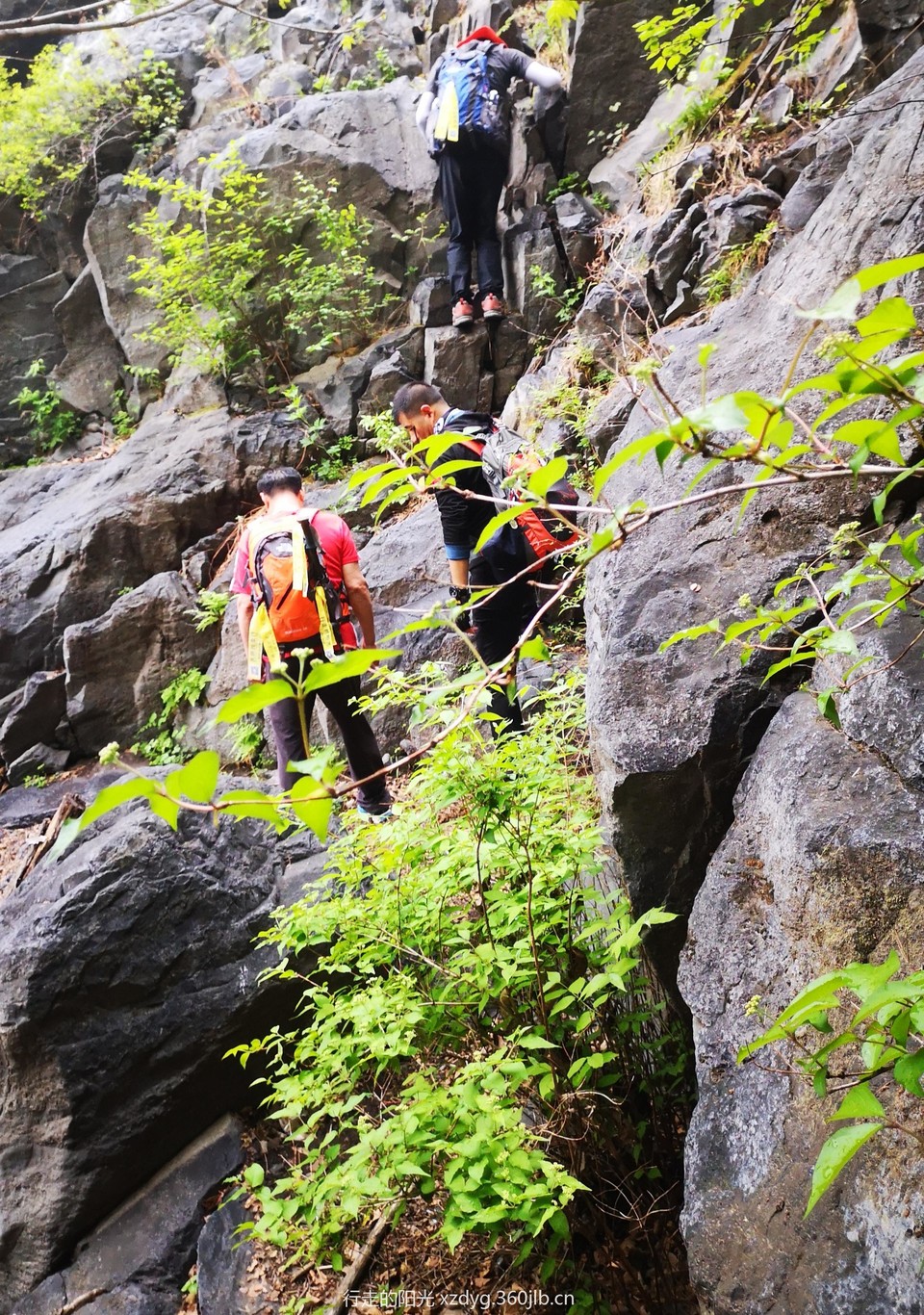 mmexport1556417019912