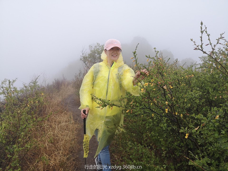 mmexport1556417037376