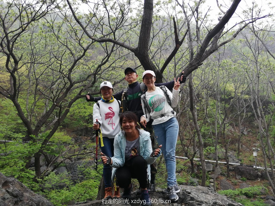 mmexport1556425289958