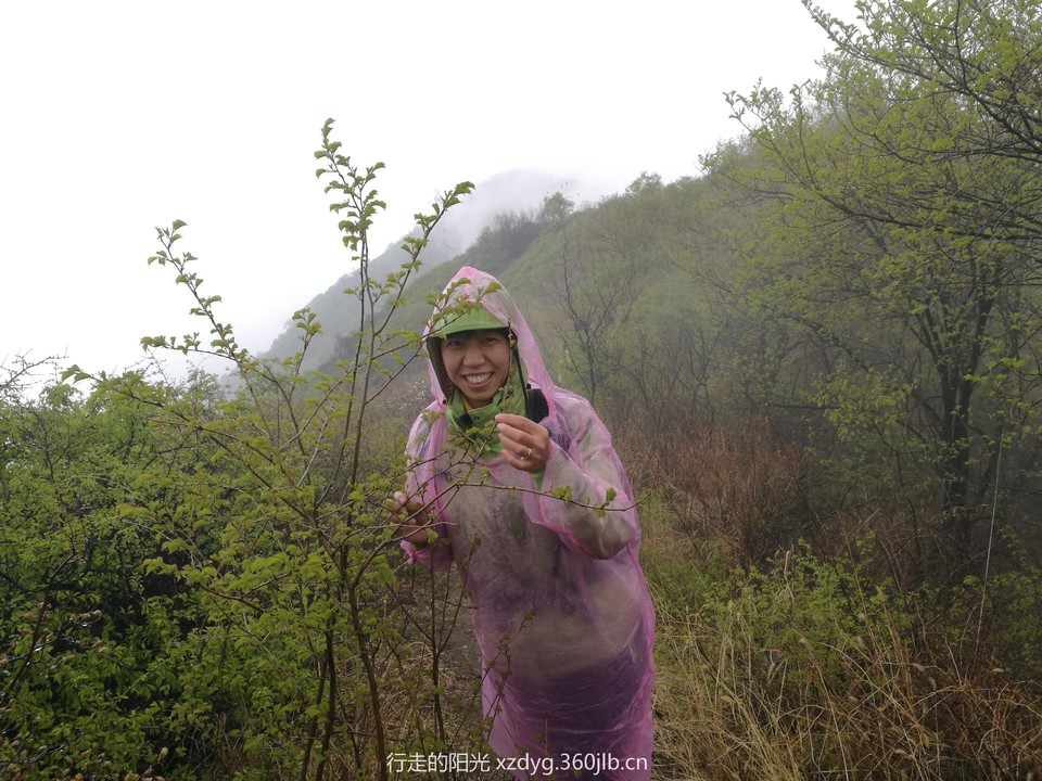 mmexport1556425417604