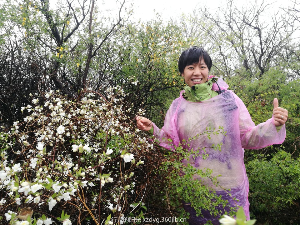 mmexport1556425441929