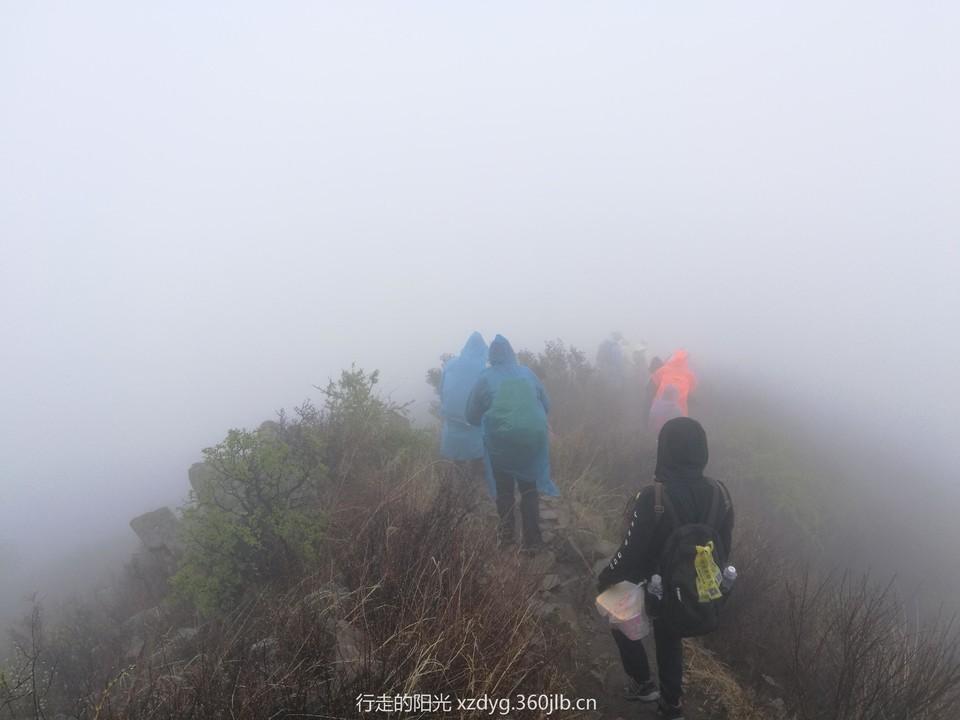 mmexport1556425473097